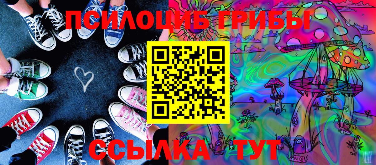 Псилоцибиновые грибы Psilocybine cubensis Белебей